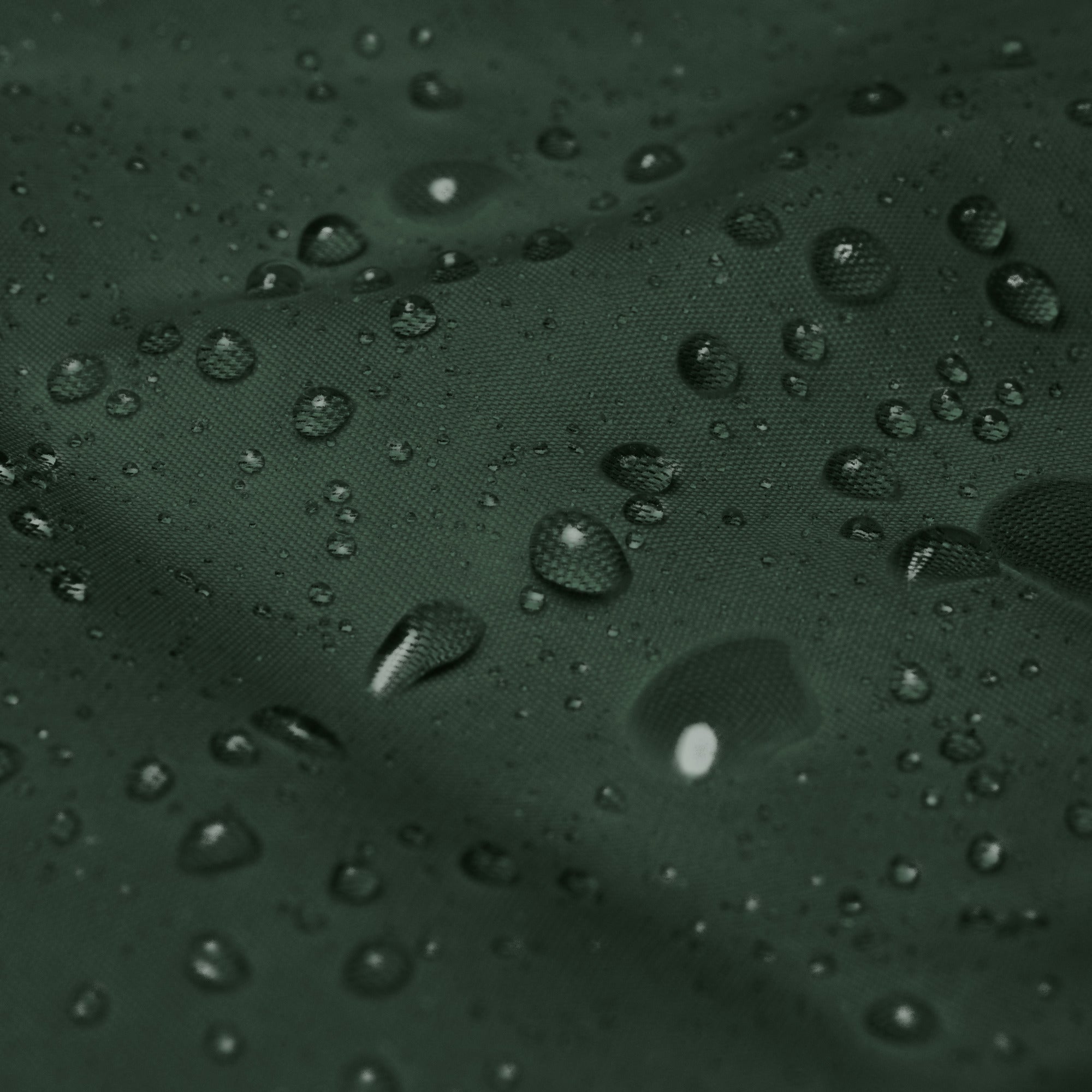 #color_green